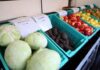 Названы продукты, которые больше всего подорожали в марте
